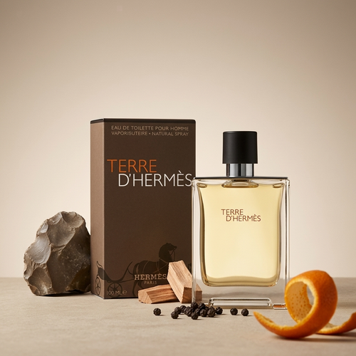 Hermes Terre d'Hermes Eau de Toilette