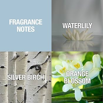 Shi By Alfred Sung Eau de Parfum Parfum